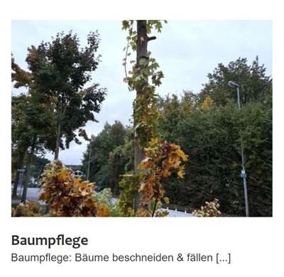 Baumpflege für 74199 Untergruppenbach